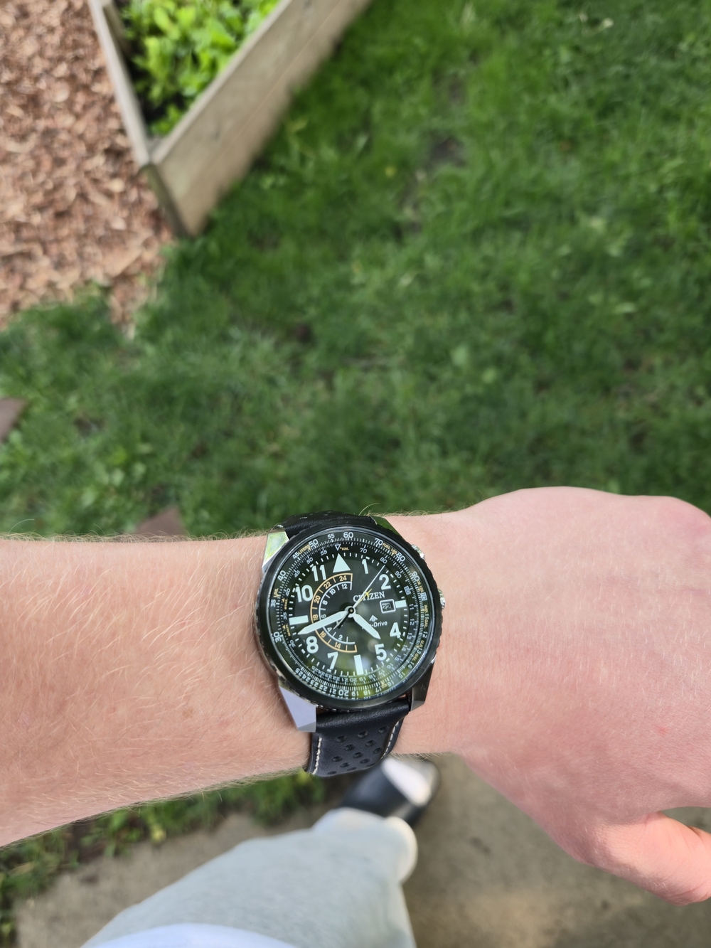 Citizen Eco-Drive Promaster Nighthawk.